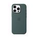 iPhone 16 Pro Silicone Case with MagSafe - Lake Green MYYR3ZM/A