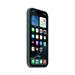 iPhone 16 Pro Silicone Case with MagSafe - Lake Green MYYR3ZM/A