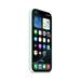 iPhone 16 Pro Silicone Case with MS - Aquamarine MDG04ZM/A