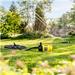Karcher BP 4.500 Garden zahradní čerpadlo, 550 W, odčerpá až 4500 l/hod, samonasávací výška 8 m 1.645-700.0