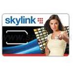 KARTA SKYLINK STANDARD (ICE) 8594051640305