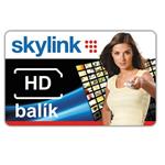 Karta Skylink Standart HD Irdeto M7 CARD SKY STANDART M