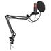 Krux mikrofon Edis 3000 / nastavitelné rameno / 2 typy filtrů / 3,5mm jack / USB-C / ARGB / černý KRXC010