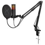 Krux mikrofon Edis 3000 / nastavitelné rameno / 2 typy filtrů / 3,5mm jack / USB-C / ARGB / černý KRXC010