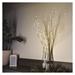 LED dekorácia - 2x brezová vetvička, 60 cm, 3x AA, IP44, teplá biela, časovač 8592920147412