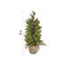 LED stromček, 50 cm, vonkajšia aj vnútorná, teplá biela, časovač 8592920147238
