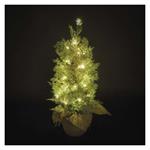 LED stromček, 50 cm, vonkajšia aj vnútorná, teplá biela, časovač 8592920147238