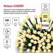 LED vianočná cherry reťaz – guličky, 20 m, vonk. aj vnútor.,teplá biela, programy, časovač 8592920146408