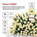 LED vianočná cherry reťaz – guličky, 8 m, vonk. aj vnútor., teplá biela, programy, časovač 8592920146705