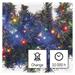LED vianočná reťaz – ježko, 12 m, vonkajšia aj vnútorná, multicolor, časovač 8592920095980