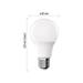 LED žiarovka Basic A60 / E27 / 8,8 W (60 W) / 806 lm / Neutrálna biela 8592920144107