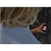 LEDLENSER lucerna ML4 502053