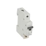 Legrand 419199 6C/1 RX3 6000A