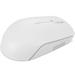 Lenovo 300/Cestovní/Optická/1 000 DPI/Bezdrátová USB/Cloud Grey GY51L15677