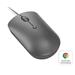 Lenovo 540 USB-C Wired Compact Mouse (Storm Grey) GY51D20876