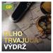 Lítiová gombíková batéria GP CR1225
