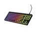 Mechanická herní klávesnice Genesis THOR 430 TKL/Drátové USB-A/US/Černá NKG-2345