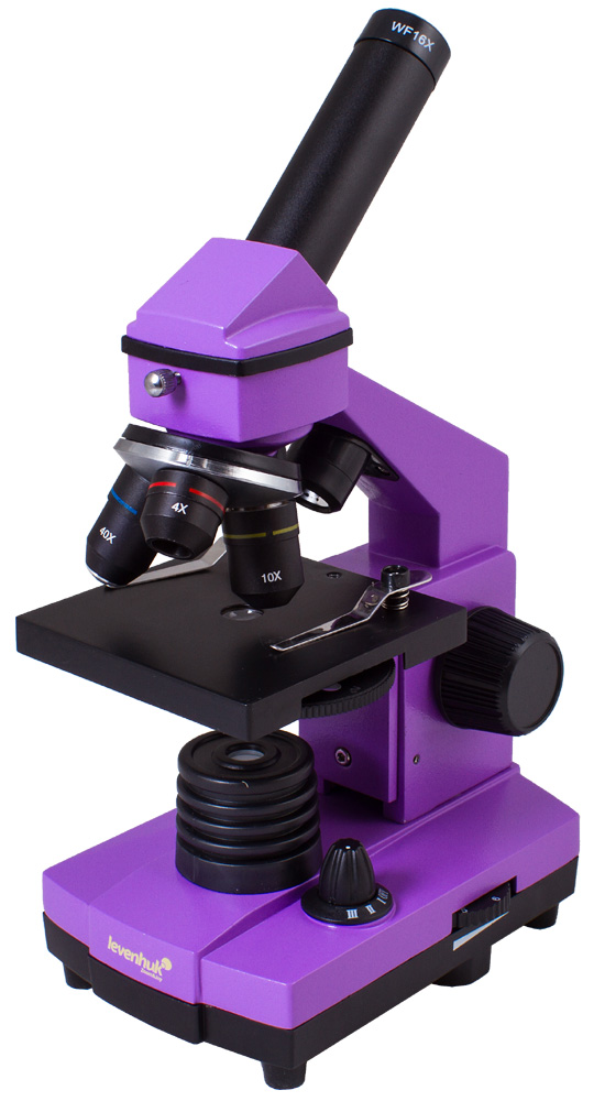 Mikroskop Levenhuk Rainbow 2L PLUS Amethyst 6900000690925