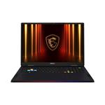 MSI Raider 9S7-182L72-067 4711377314381