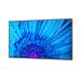 NEC 98" MultiSync M981 - IPS LED/3840 x 2160/500cd/m2/24/7 proof/OPS Slot/CM Slot 60005069