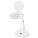 Nedis MAGL1WT - Stolní Lampa s Lupou | 6,5 W | 6500 K | Bílá barva