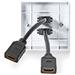 NEDIS nástěnný Box HDMI/ 2x HDMI zásuvka/ 4K@60Hz/ 18 Gbps/ pozlacené/ černo-bílý CVGP34955WT