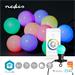 Nedis WIFILP03C10 SmartLife světelný řetěz | Wi-Fi | RGB | 10 LED's | 9.00 m | Android™ / IOS
