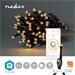 Nedis WIFILX01W50 SmartLife světelný řetěz | Tětiva | Wi-Fi | Teplá Bílá | 50 LED's | 5.00 m | Android™ / IOS