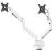Neomounts DS70-250WH2 Neomounts NEXT Slim Desk Mount, double display (topfix clamp/grommet), white