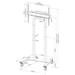Neomounts FL55-875BL1/Držák displeje/vozík/37-100"/4 kolečka/VESA 800X600/nosn. 110kg/mot. nast.výšky/černý