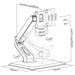 Neomounts FPMA-D885BLACK / Flat Screen Desk Mount (stand) / Black