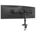 Neomounts NERO Double Flat Screen Desk Mount 10-32 " (phone holder+Quick-fix clamp/grommet) DS60-600BL2