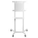 Neomounts NS-M1250WHITE / Mobile Flat Screen Floor Stand (height: 160 cm) / White