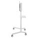 Neomounts NS-M1250WHITE / Mobile Flat Screen Floor Stand (height: 160 cm) / White