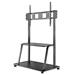 Neomounts NS-M4000BLACK / Mobile Flat Screen Floor Stand (stand+trolley) (height: 137-153 cm) box 1/2 / Black