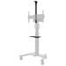 Neomounts Select AFLS-825BL1 / Video Kit Cam- &AV shelf (incl. Logitech Rally bar (mini) adapter for FL50S-825BL1 / B