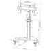 Neomounts Select FL50S-825WH1 / Mobile Display Floor Stand (37-75") 10 cm. Wheels / White