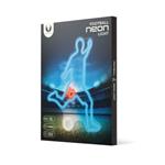 Neon PLEXI LED FOOTBALLER multicolor FPNE31 Forever Light RTV200003