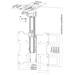 NewStar Flatscreen Ceiling Mount FPMA-C020BLACK