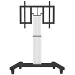 NewStar Motorised Mobile Floor Stand (90 degr tilt) - VESA 200x200 up to 800x600 PLASMA-M2500TSILVER