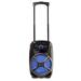 NGS WILD MAMBO/ BT repro/ 35W/ USB/ FM/ SD slot/ Černé