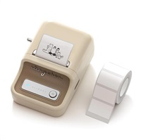 Niimbot Tiskárna štítků B21S Smart, bílá + role štítků 210 ks 1AC1C171605