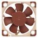 Noctua NF-A4x10 PWM, 40x40x10mm, 4-pin, 5000 RPM