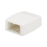 Panduit MINI-COM - Krabice k upevnění na povrch - arktická bílá - 2 porty CBXQ2AW-A