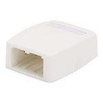 Panduit MINI-COM - Krabice k upevnění na povrch - arktická bílá - 2 porty CBXQ2WH-A