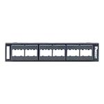 Panduit MINI-COM Modular Faceplate - Propojovací panel - 12 portů CPP12WBL