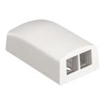 Panduit NetKey Surface Mount Boxes - Krabice k upevnění na povrch - arktická bílá - 2 porty - pro P NK2BXAW-A