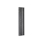 Panduit PatchRunner 2 Dual Sided Manager - Panel pro správu kabelů v regálu (vertikální) - černá - PR2VD06