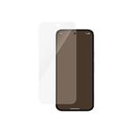 PanzerGlass Google Pixel 9/9 Pro 4787