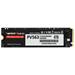 PATRIOT VIPER PV563 4TB SSD / Interní / M.2 NVMe PCIe Gen5 x4 / 2280 / PV563P4TBM28H
